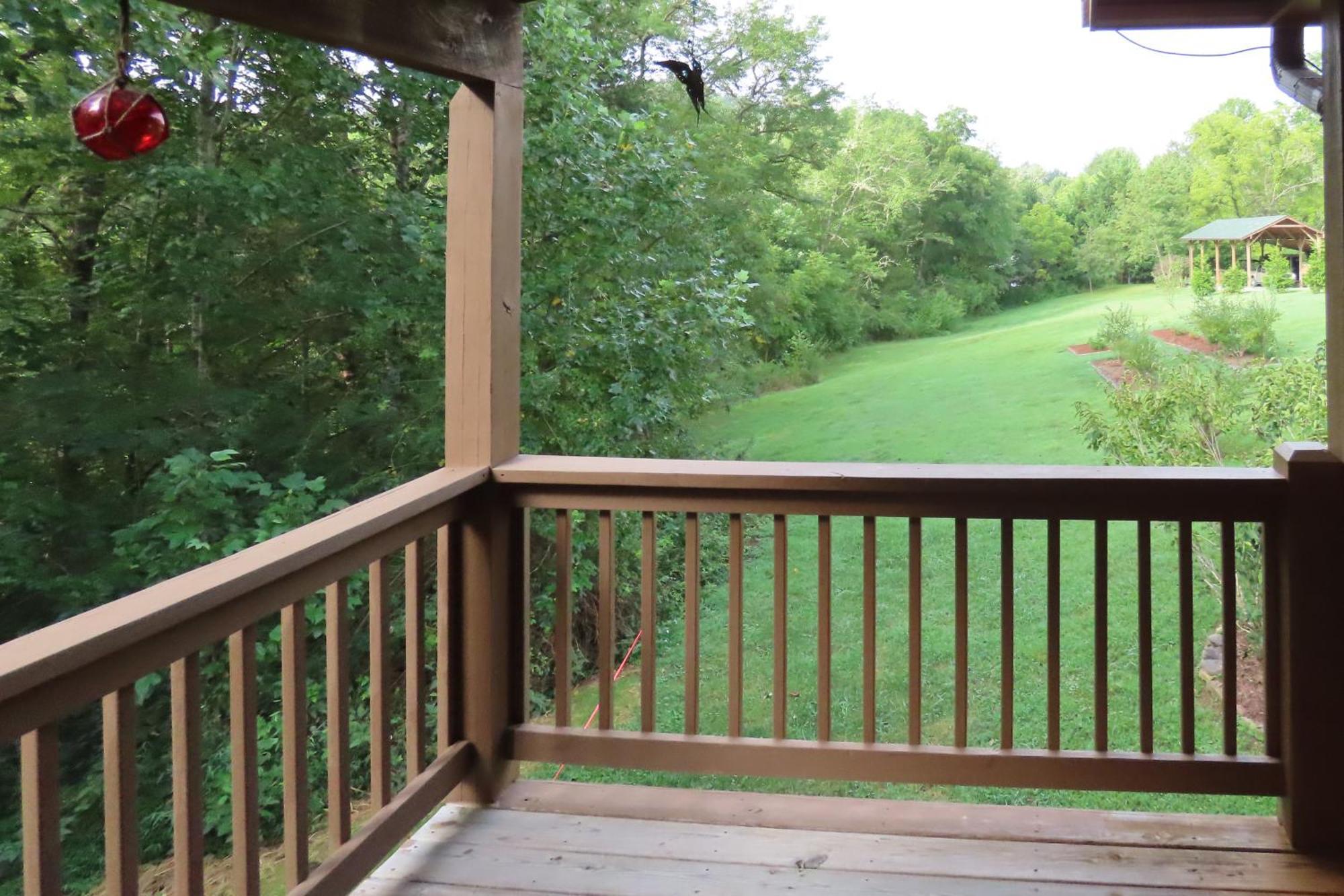 Scenic Fox Ridge Cabin On 4 Acres With Hot Tub! Whittier Dış mekan fotoğraf