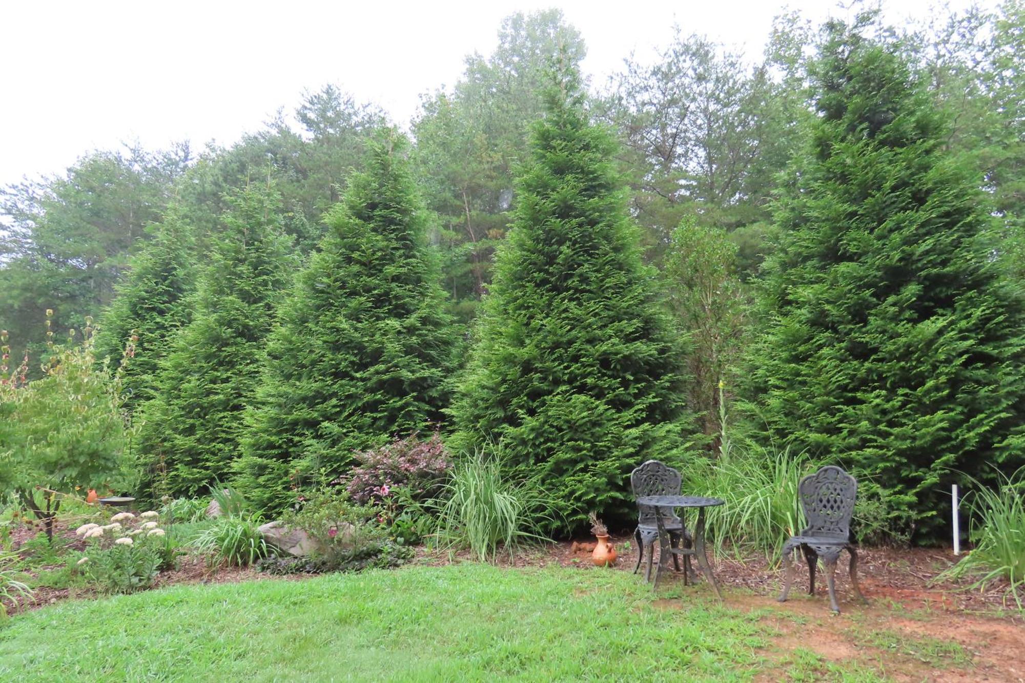 Scenic Fox Ridge Cabin On 4 Acres With Hot Tub! Whittier Dış mekan fotoğraf